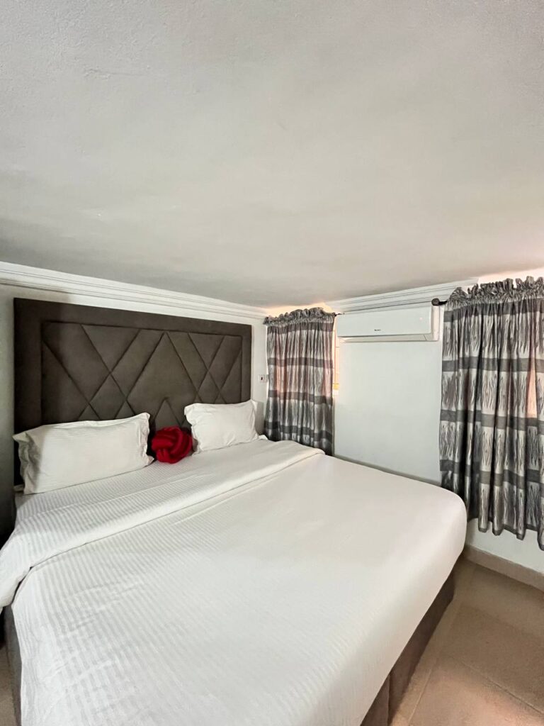 photo_6_2025-11-14_14-27-53